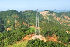 Dự án Đường dây 500kV Lào Cai - Vĩnh Yên có tổng mức đầu tư hơn 7.400 tỷ đồng, có chiều dài 229,5 km, đi qua 4 tỉnh Lào Cai, Yên Bái, Phú Thọ, Vĩnh Phúc. Ảnh: Phi Long