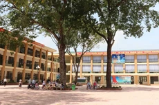 Các ban quản lý dự án đầu tư xây dựng là chủ đầu tư nhiều gói thầu trên địa bàn Thủ đô. Ảnh: Bảo Châu