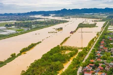 Ảnh chỉ mang tính minh họa: Internet