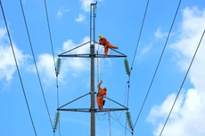 Khối lượng công việc còn lại (khoảng 25 tỷ đồng) của Gói thầu CPC-TienPhuoc-W02 Thi công xây dựng công trình đường dây 110kV Tam Kỳ 220kV - Tiên Phước sắp được mời thầu. Ảnh minh họa: Nhã Chi