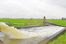 Hà Nội: Phòng kinh tế huyện Thường Tín công bố kết quả 2 gói thầu xây lắp hơn 62 tỷ đồng