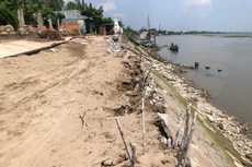 Vĩnh Long lựa chọn nhà thầu xây kè chống sạt lở bờ sông Tiền