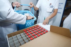 Bệnh viện Chợ Rẫy vừa thông báo mời thầu đối với 6 gói thầu thuộc Dự toán Cung cấp thuốc lần 2 năm 2025 với tổng dự toán 2.778,353 tỷ đồng. Ảnh minh họa: Nhã Chi