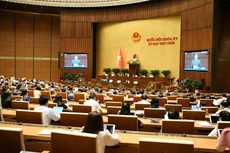 Toàn cảnh Phiên họp ngày 28/5/2025
