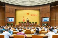 Đề xuất kéo dài chính sách miễn thuế sử dụng đất nông nghiệp đến hết năm 2030