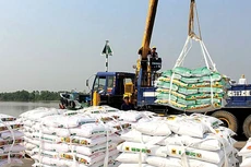 Năm 2024, xuất khẩu phân bón thu về hơn 700 triệu USD