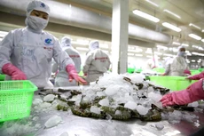 Kim ngạch xuất khẩu nông, thủy sản 5 tháng đầu năm đạt gần 17,7 tỷ USD, tăng 15,8% so với cùng kỳ năm ngoái. Ảnh: Lê Tiên