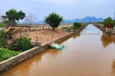 Gói thầu Thi công xây dựng công trình thuộc Dự án Nâng cấp hệ thống kênh tiêu Thành Hồ, xã Yên Thái, huyện Yên Mô, tỉnh Ninh Bình có 2 nhà thầu tham dự. Ảnh minh họa: Minh Thiên