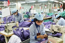 Tăng lương tối thiểu vùng 180.000 - 250.000/tháng từ 1/1/2017 