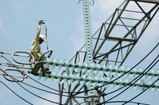 Ảnh: Tường Lâm