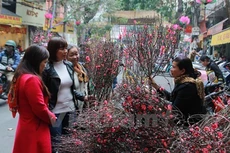 Lịch nghỉ Tết Âm lịch năm 2017 của viên chức và người lao động