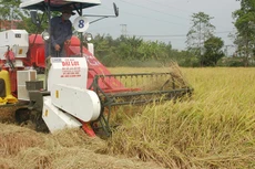 Bộ KH&ĐT chủ trì, phối hợp với các bộ, ngành...rà soát, điều chỉnh, bổ sung Quy hoạch phát triển KTXH vùng ĐBSCL Ảnh: Tường Lâm