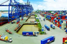 Xử lý gần 130 container hàng nhập khẩu tồn đọng tại cảng Cát Lái