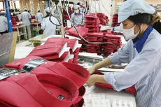 Ông Lộc dẫn chứng, những thủ tục như kiểm định formaldehyt đối với hàng dệt may trước đây... đang tạo ra những chi phí khủng khiếp cho DN. Ảnh: Tường Lâm
