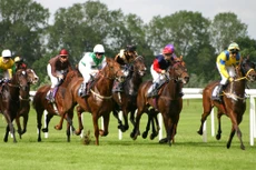 1,5 tỷ USD làm trường đua ngựa lớn nhất VN ở Vĩnh Phúc