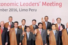 Chủ tịch nước Trần Đại Quang khẳng định, đăng cai Năm APEC 2017 là trọng tâm đối ngoại của Việt Nam đến năm 2020 Ảnh: TTXVN