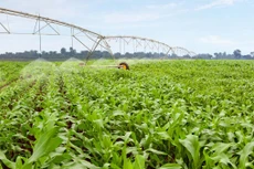 Minh bạch, công khai để nâng cao năng lực cạnh tranh