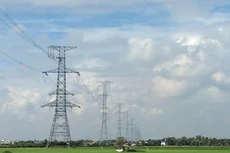Nghiệm thu đường dây 220kV Phú Lâm - Long An