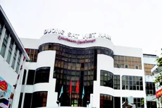 Hiện VNR còn nợ hàng trăm tỷ đồng tiền thuê đất cần nộp về ngân sách nhà nước - ảnh: internet