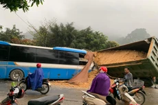 Hiện nguyên nhân của vụ việc đang được các cơ quan chức năng làm rõ