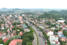 Ảnh minh họa: Internet