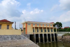 Ảnh chỉ mang tính minh họa: Internet