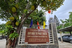 Gói thầu Thi công xây dựng thuộc Dự án Sửa chữa Trụ sở làm việc Quỹ Đầu tư phát triển Quảng Nam đã mở thầu sau 2 lần gia hạn, sửa chữa HSMT