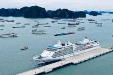 Ảnh minh họa: Internet