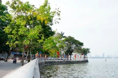 Liên danh nhà thầu trúng Gói thầu Duy trì vệ sinh môi trường trên địa bàn quận Tây Hồ (TP. Hà Nội) sẽ triển khai thực hiện hợp đồng từ ngày 1/1/2024 - ảnh Internet 