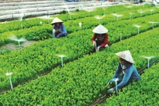 Ảnh minh họa: Internet
