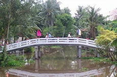 Ảnh minh họa cầu dân sinh ở Hậu Giang - ảnh Internet