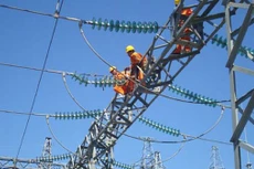 Ảnh chỉ mang tính minh họa. Ảnh Internet