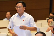 Đại biểu Quốc hội Mai Sỹ Diến.