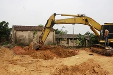 Ảnh chỉ mang tính minh họa.