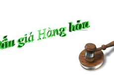 Đấu giá phương tiện vận tải thanh lý