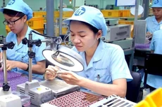 Doanh nghiệp Hàn Quốc tìm kiếm đối tác tại Việt Nam