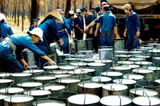 Giá cao su thấp ảnh hưởng mạnh đến kết quả kinh doanh của Tập đoàn Công nghiệp Cao su Việt Nam. Ảnh: Ngọc Anh