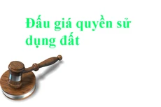 Đấu giá quyền sử dụng đất và quyền sở hữu nhà tại Bình Dương