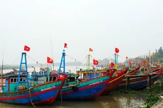 Cửa Lò (Nghệ An): Gia hạn đóng thầu để hoàn thiện hồ sơ mời thầu