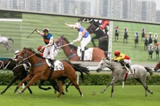 Tập đoàn Hàn Quốc muốn chi 500 triệu USD xây trường đua ngựa tại Bắc Ninh