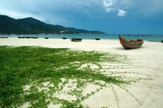 Hơn 200 tỷ đồng xây đê, kè biển Liên Chiểu (Đà Nẵng)