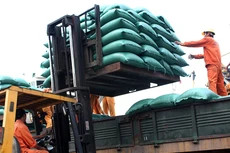 Chính sách điều hành tỷ giá cần linh hoạt để hỗ trợ hoạt động xuất khẩu. Ảnh: Lê Tiên