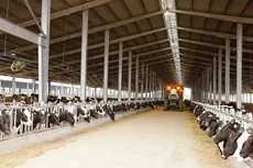 Doanh nghiệp Hà Lan ưu tiên phát triển bền vững tại Việt Nam