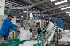 Doanh nghiệp nhỏ gặp khó khăn về vốn để đầu tư phát triển sản xuất. Ảnh: Lê Tiên