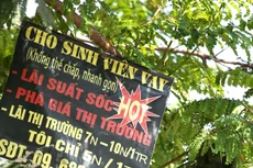 Một thủ quỹ đã thụt két Ngân hàng ACB hơn 13 tỷ đồng để làm tín dụng đen. Ảnh: Tiên Giang