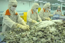 Bộ NN&PTNT đề xuất nhiều giải pháp phát triển liên kết sản xuất gắn với chế biến, tiêu thụ sản phẩm nông nghiệp. Ảnh: Huyền Trang