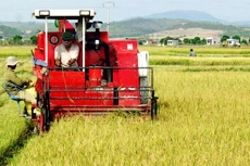 Chọn tư vấn lập BCNCKT hỗ trợ cơ giới hóa nông nghiệp