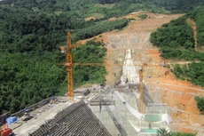 Sông Đà 505 lãi lớn 9 tháng đầu năm