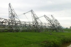 Ảnh Internet