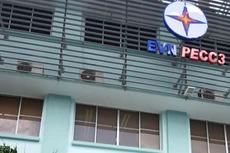 Khả năng tăng trưởng và phát triển trong tương lai của PECC 3 bị hạn chế